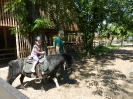 w Zoo