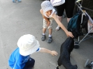w Zoo