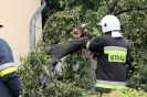 Interwencja strazakow po burzy_16