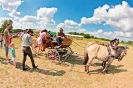 Piknik w Trzesowie_43