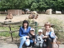 zoo_15