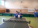 TenisStolowy2014_2