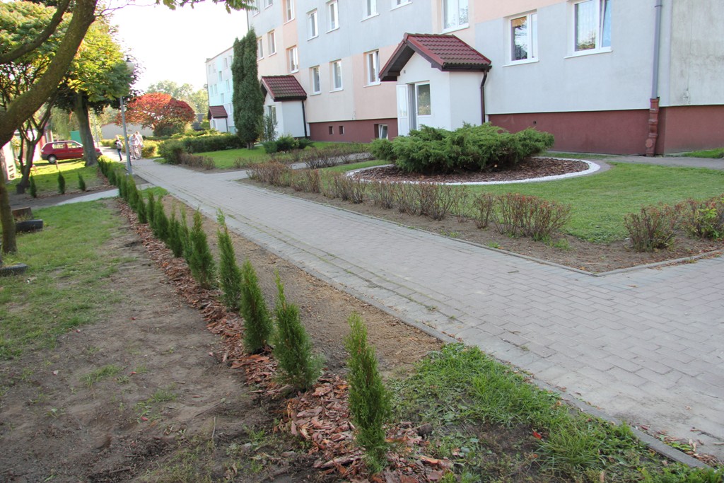 jedna